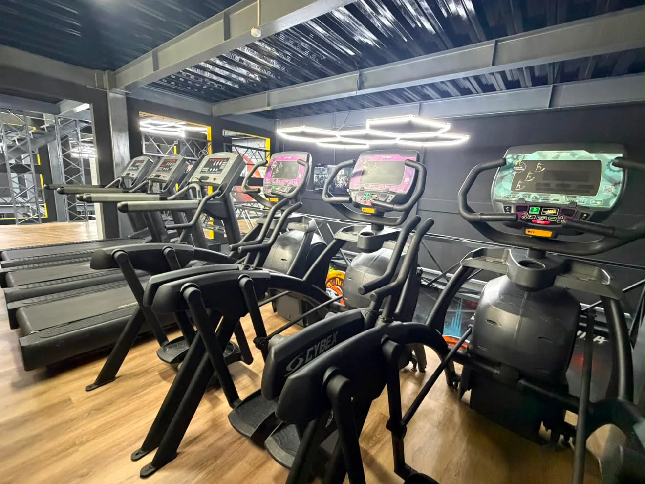 Zona de cardio con caminadoras y elípticas